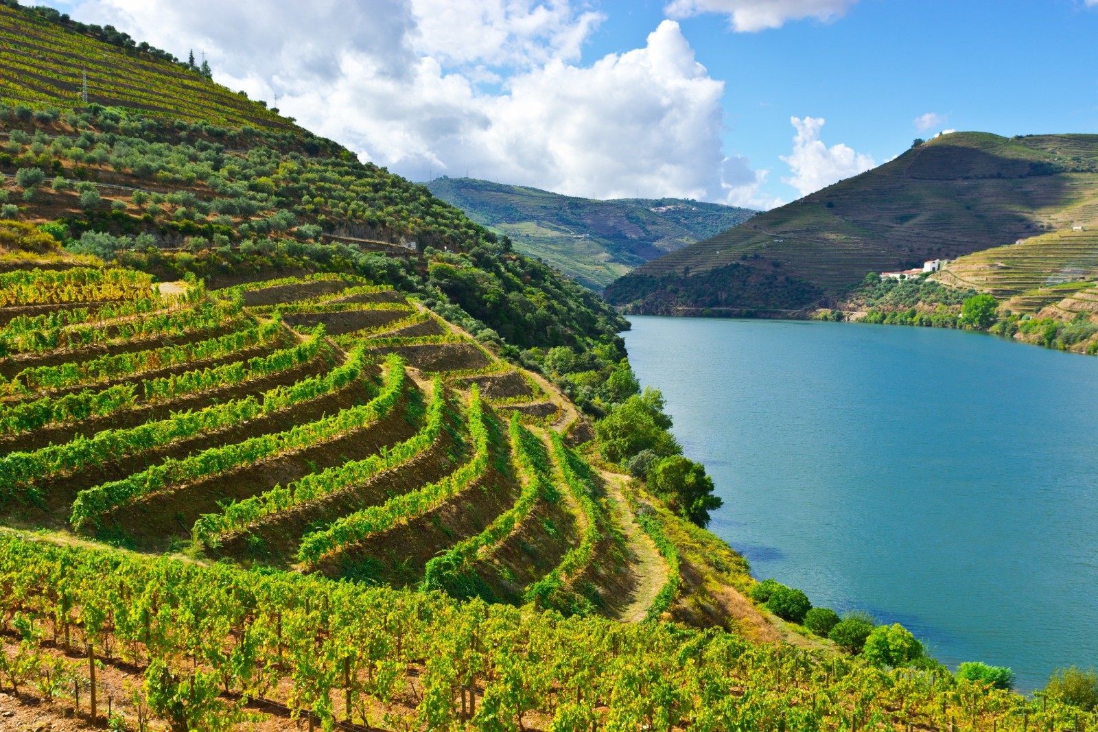 15 milioni di euro per la distillazione di crisi in Portogallo - L'UE vuole ridurre l'eccedenza di vino
